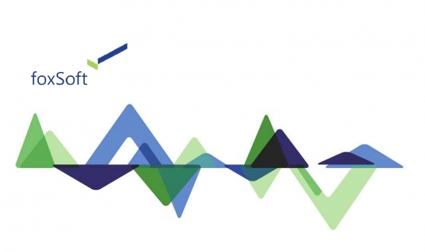 교육정보화 전문기업 폭스소프트는 시스템통합(SI)사업과 대외 고객사의 교육정보시스템에 관한 자문 및 시스템을 구축해 교육정보화 전문서비스를 개발 및 제공하고 있다. [사진 출처=폭스소프트]
