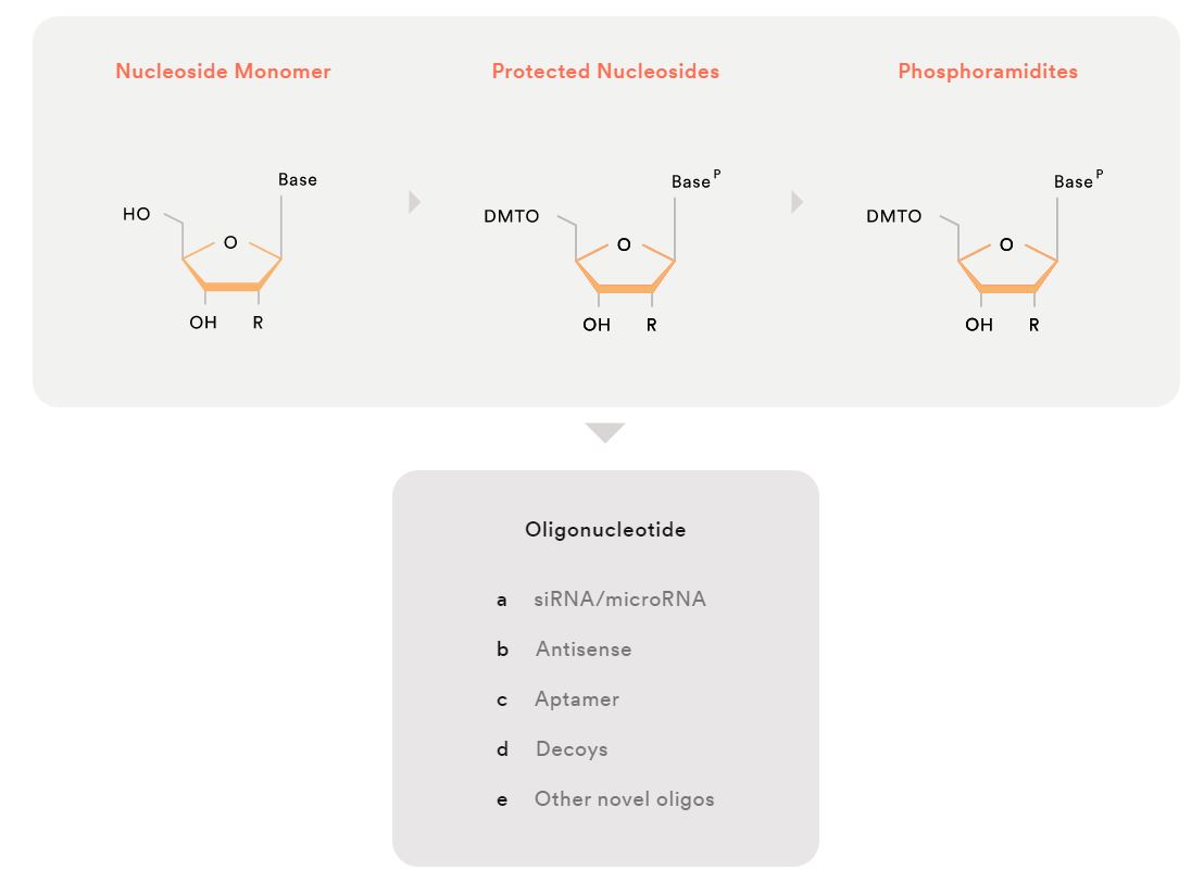 에스티팜은 저분자 의약품 및 올리고뉴클레오타이드 원료의약품(API) 바이오의약품 위탁생산 및 위탁개발(CDMO) 전문 업체다. 지난해 기준 매출 비중은 올리고뉴클레오타이드 신약 API 52%, 저분자의약품 신약 API 11%, 제네릭 API 21%, 기타 16%로 구성되어 있다. 사진은 에스티팜의 올리고 동시 생산 시스템. [사진출처=에스티팜]