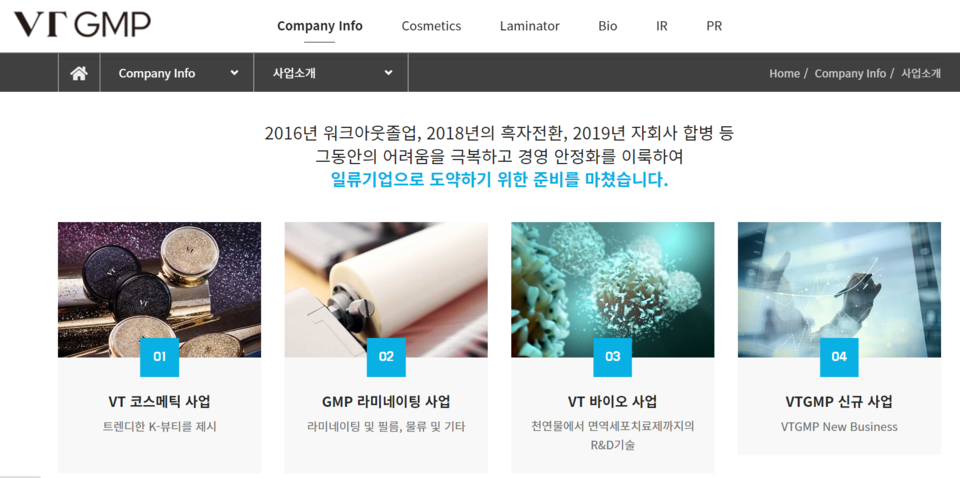 사진은 브이티지엠피의 사업부문에 대한 내용. [사진출처=브이티지엠피]