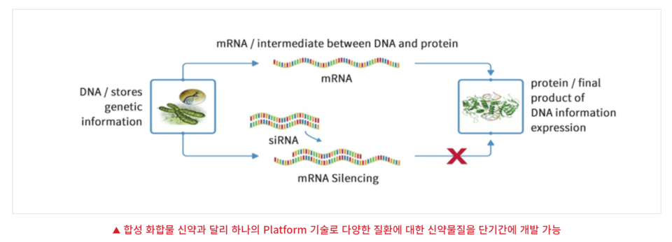 난치성 질환 치료제 개발기업 올릭스가 최근 신약 개발에 적극적으로 나서면서 투자자들의 관심이 쏠리고 있다. 사진은 올릭스의 RNA간섭기술 설명. [사진출처=올릭스]
