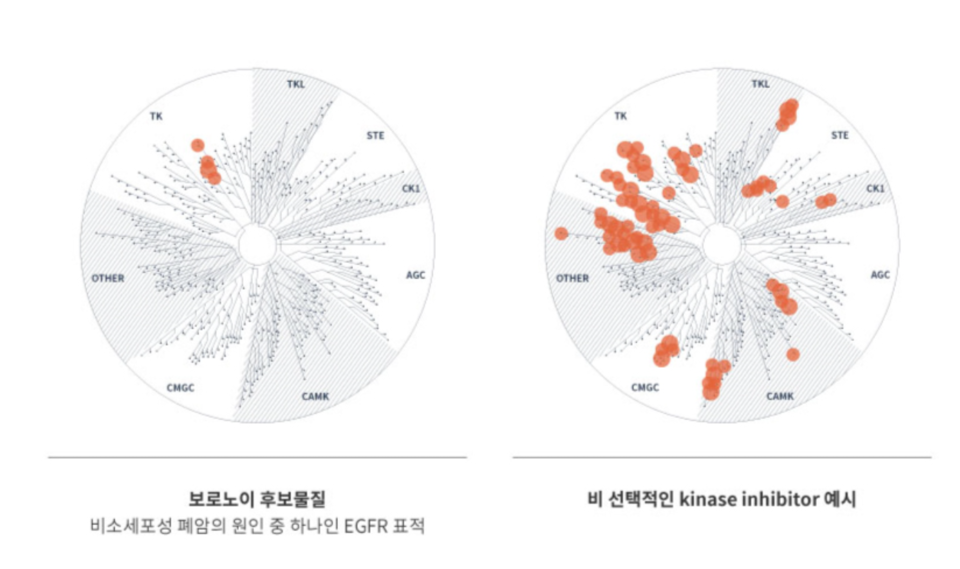 적치료제 전문 신약개발사 보로노이가 미국 제약사로부터 마일스톤을 수령하게 되면서 추가 기술이전 가능성이 커졌다. 사진은 보로노이 후보물질. [사진출처=보로노이]