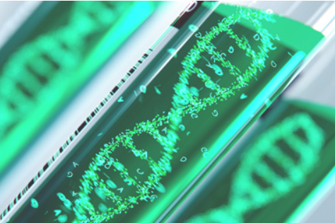 재생의학 전문기업 파마리서치는 올해 2분기 연결기준 매출액이 497억원으로 전년 동기대비 28.1% 증가했다. 영업이익은 174억원으로 25% 늘어났다. 분기 기준 최대 실적이다. 증권사들의 하반기 호실적 전망으로 주가가 다시 상승곡선을 탈 수 있을지 주목된다. [사진 출처= 파마리서치]