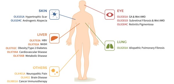 올릭스는 RNA간섭(RNA interference; RNAi) 플랫폼 기술을 기반으로 기존 치료제가 접근하기 어려운 질환에 대한 치료제를 개발하는 신약개발 기업으로 지난 2010년 설립돼 2018년 코스닥 시장에 상장했다. 사진은 올릭스의 주요 파이프라인. [사진출처=올릭스]