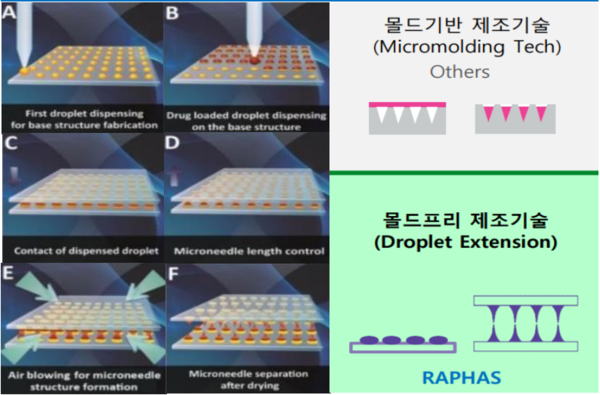 마이크로니들 제조를 위한 DEN 기술 [자료제공=라파스, 리서치알음]