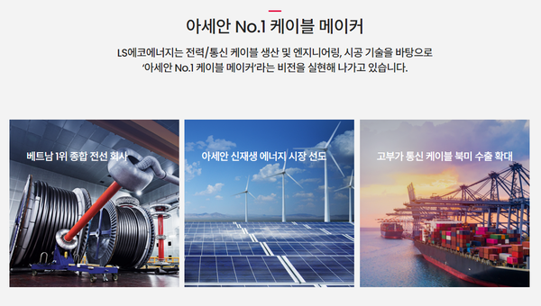 LS에코에너지는 베트남 내 1위 전력케이블 생산업체 LS비나(LS-VINA Cable&System Joint Stock Co)의 지주회사다. [사진출처=LS에코에너지]